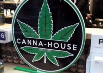 Foto Ilustrativa crédito Alma Solís