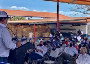 Encuentro Agropecuario: Buscan potenciar  cría de ganado Senepol en Panamá