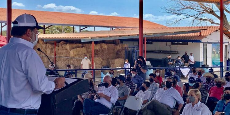 Encuentro Agropecuario: Buscan potenciar cría de ganado Senepol en Panamá