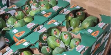 Panamá estará presente en Fruit Logística 2022