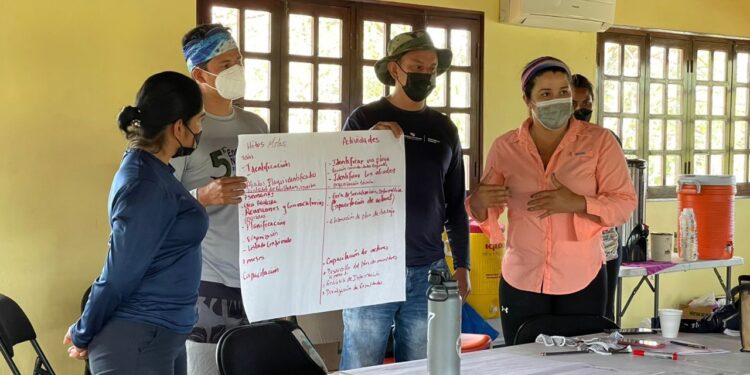 Se realizan inventarios para monitorear la basura marina y microplásticos en playas de Panamá