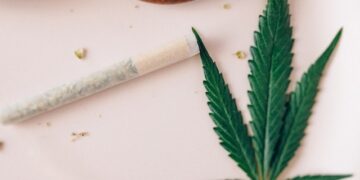 Firman decretos ejecutivos que reglamentan la Ley del uso del cannabis medicinal en Panamá