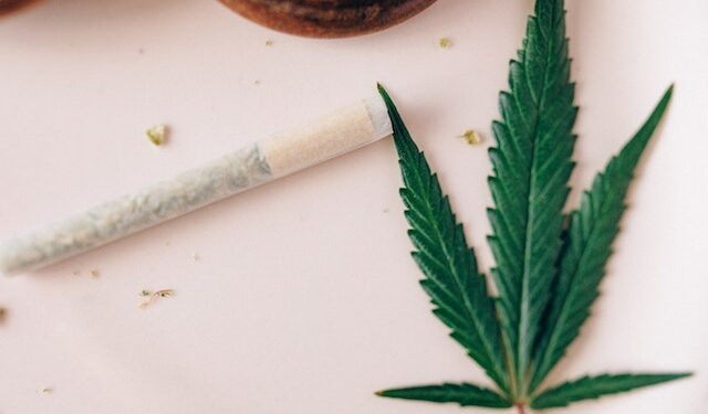 Firman decretos ejecutivos que reglamentan la Ley del uso del cannabis medicinal en Panamá