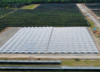 Enel desarrolla en Panamá proyecto solar con nueva tecnología de paneles