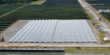 Enel desarrolla en Panamá proyecto solar con nueva tecnología de paneles