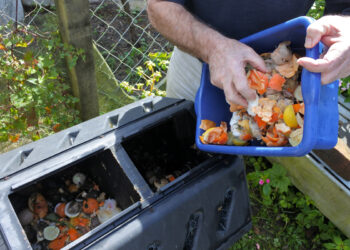 Cadena de suministro: Investigación de McKinsey  revela que los fabricantes y minoristas com mejores opciones para reducir la pérdida de alimentos