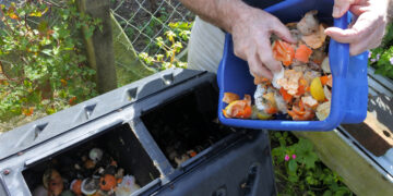 Cadena de suministro: Investigación de McKinsey  revela que los fabricantes y minoristas com mejores opciones para reducir la pérdida de alimentos