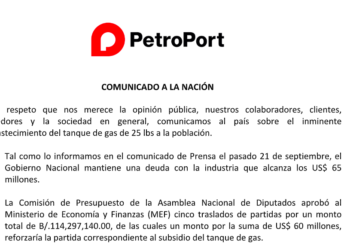 Petroport: inminente desabastecimiento del tanque de gas de 25 lbs