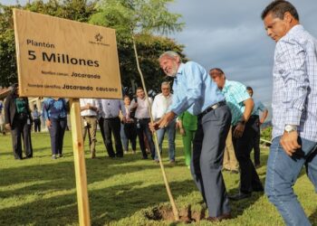 El Canal de Panamá ha sembrado 5 millones de arboles