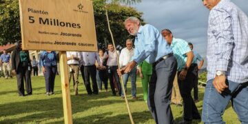 El Canal de Panamá ha sembrado 5 millones de arboles