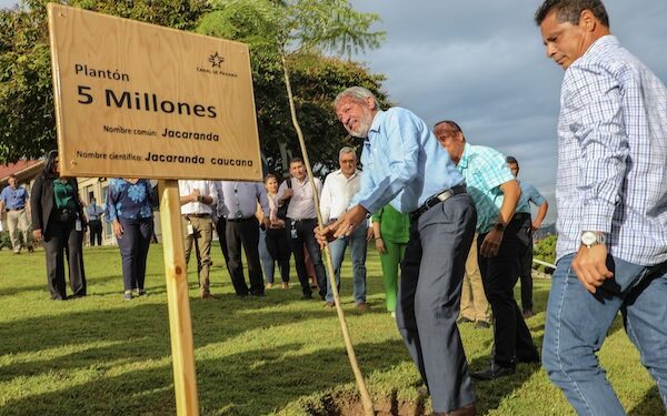 El Canal de Panamá ha sembrado 5 millones de arboles