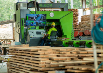 Panamá cuenta con la primera planta procesadora de teca de la región
