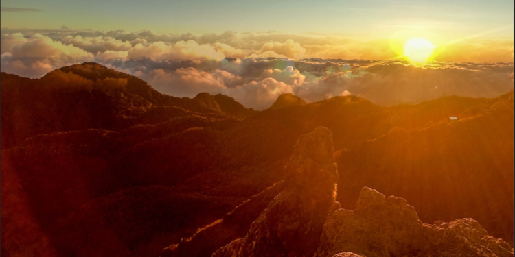 Un Año de Retos Globales