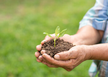 Sostenibilidad e inversión con impacto social son los principales retos de las empresas