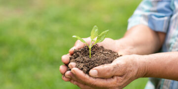 Sostenibilidad e inversión con impacto social son los principales retos de las empresas