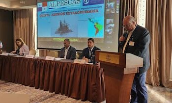 Alianza para la pesca sustentable insta a los gobiernos latinoamericanos a fortalecer sus legislaciones contra la extracción de recursos pesquero