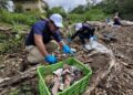 Día Mundial del Medio Ambiente: Caja de Ahorros hacen esfuerzos por dejar impacto real al país