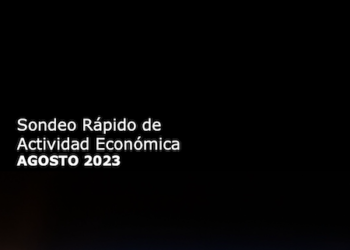 Sondeo Rápido de Actividad Económica AGOSTO 2023 Elemente