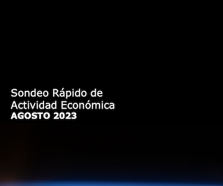 Sondeo Rápido de Actividad Económica AGOSTO 2023 Elemente