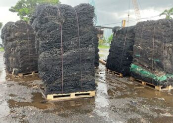 En Panamá inician reciclaje de redes de pesca en desuso