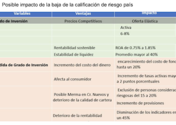 Encarecimiento del costo y menos acceso del dinero, reducción de la inversión extranjera algunas de las consecuencias de la pérdida del grado de inversión