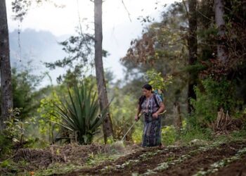 Sin equidad de género no habrá desarrollo sostenible, asegura el FIDA 