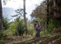 FIDA: Comunidades rurales en América Latina están más expuestas a la situación económica y cambios climáticos y necesitan mayor atención