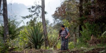 FIDA: Comunidades rurales en América Latina están más expuestas a la situación económica y cambios climáticos y necesitan mayor atención