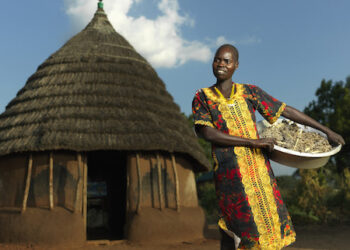  FIDA pide determinación política para reformar la arquitectura financiera internacional