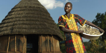  FIDA pide determinación política para reformar la arquitectura financiera internacional