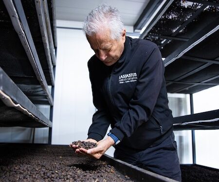 Café panameño de la familia Lamastus impone nuevo récord mundial con el Geisha