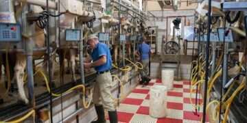 Panamá apela ante la OMC la resolución sobre disputa comercial con Costa Rica