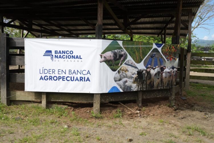 Banconal impulsa el desarrollo agropecuario sostenible en Bocas del Toro