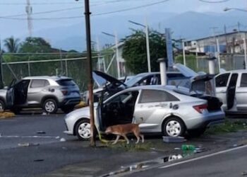 Empresarios de CoNEP condenan violencia en bocas del toro y piden pacto nacional