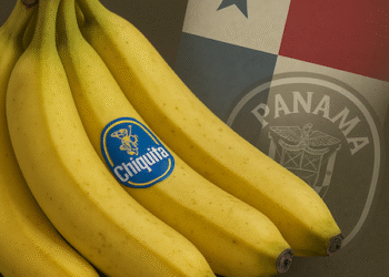 Chiquita en Panamá: Ejecutivo busca reactivación en Bocas, Mulino se reunirá en Brasil y sindicato mantiene presión