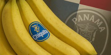 Chiquita en Panamá: Ejecutivo busca reactivación en Bocas, Mulino se reunirá en Brasil y sindicato mantiene presión