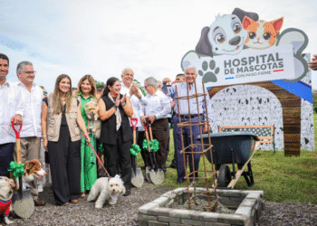 Hospital de Mascotas inicia construcción y prevé abrir a mediados de 2027