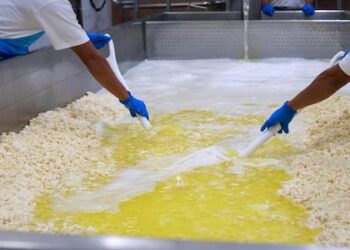 MICI inicia investigaciones y activa salvaguardia agrícola ante avance del TPC con EE.UU.