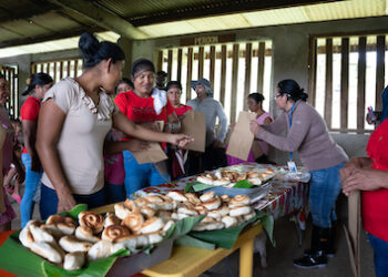 Talleres en río Indio abren oportunidades para micro negocios locales