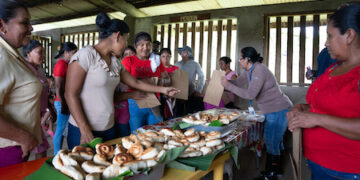 Talleres en río Indio abren oportunidades para micro negocios locales