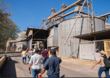 Molineros recomiendan importar arroz para evitar caída de inventarios en Panamá