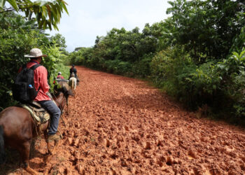 Canal de Panamá adjudica construcción de nuevas carreteras en área de influencia del proyecto en Río Indio