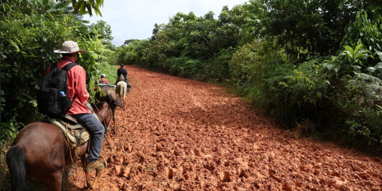 Canal de Panamá adjudica construcción de nuevas carreteras en área de influencia del proyecto en Río Indio