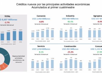 Caen 34% los nuevos créditos hipotecarios preferenciales y construcción retrocede 25.3% en el primer cuatrimestre