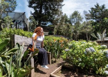 Panamá y Medellín: una conexión aérea que acerca a los viajeros al turismo de salud y bienestar