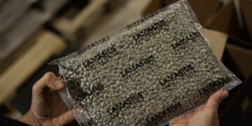 Dos kilogramos de café Geisha panameño se venden por casi $30 mil