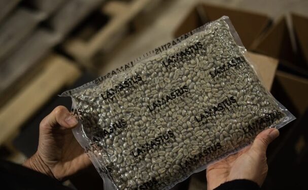 Dos kilogramos de café Geisha panameño se venden por casi $30 mil