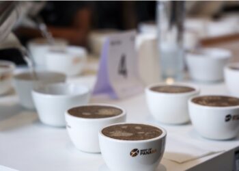 Panamá subastará 750 kilos de sus mejores cafés desde US$400 por kilo