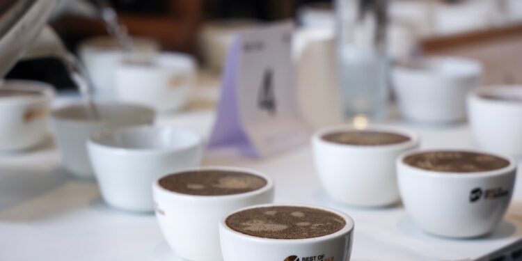Panamá subastará 750 kilos de sus mejores cafés desde US$400 por kilo